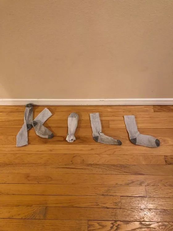 推主最近发现,猫没事时在用袜子摆造型,摆出的字让人好怕怕.