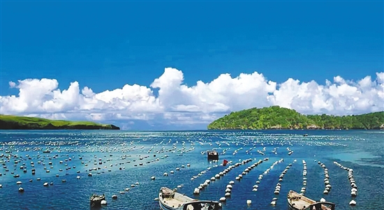 海洋牧场还海洋一片生机