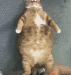 250_261gif 动态图 动图