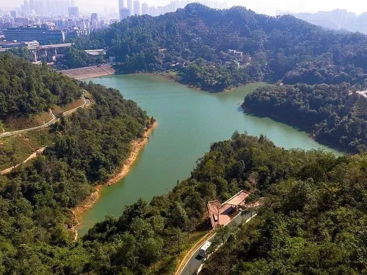 幽谷悬空玻璃观景台!龙华环城绿道羊台山段等你来!深圳又添新名片!