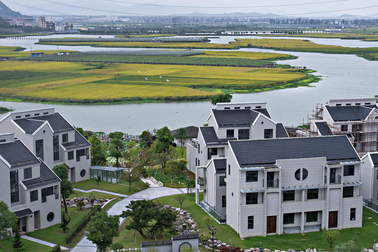 小镇人物 | 温岭坞根镇林振标如何讲实效做实事