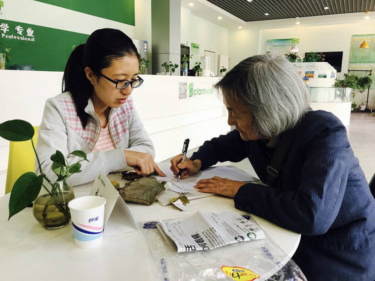从天津赶来的老奶奶找植物医生咨询。受访者供图
