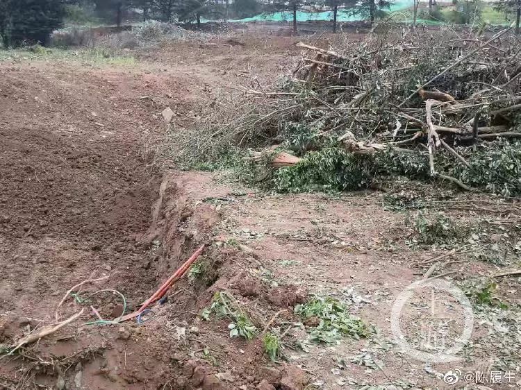 ▲ 汉画馆围墙遭破坏现场。 图片来源： 微博用户陈履生