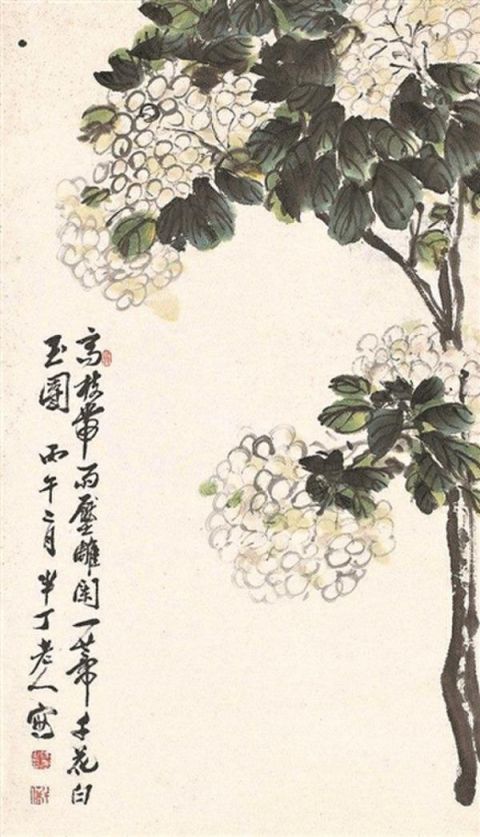 一团和气绣球花 沾满仙气人人爱