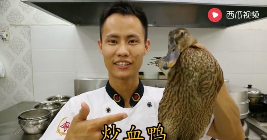 在今日头条走红,来淘宝开店,美食作家王刚如何把吹过的牛变成现实