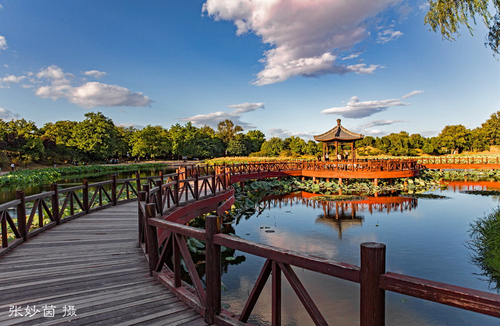 走进北京,走进北京的公园,它不仅带给你北京最美的景色,更带你走进