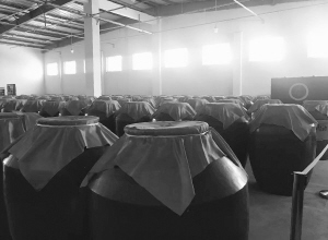 白酒板块上演一日游 春节喝酒行情难持续