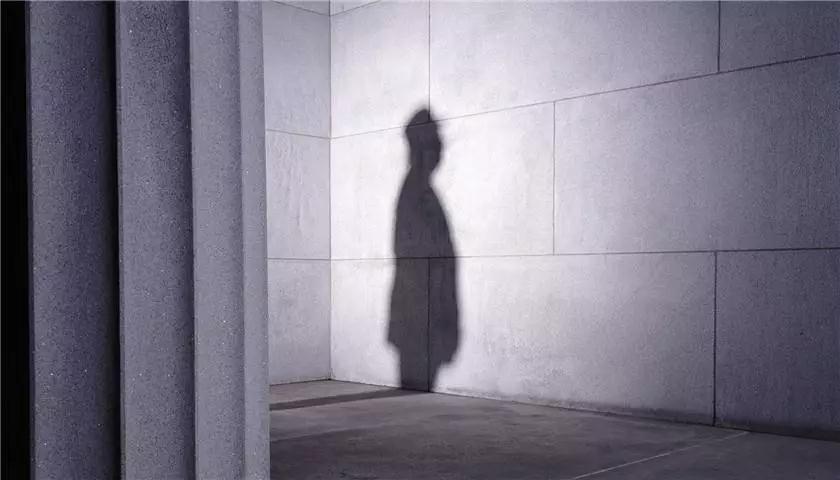 阳光股份:水泼不进的董事会