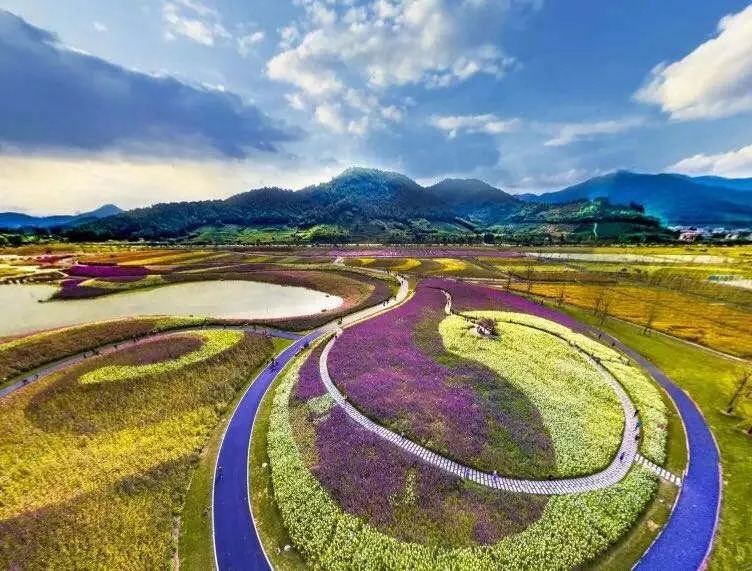 重磅千畝花海盛裝綻放徑山花海邀您賞花度假拿福利啦