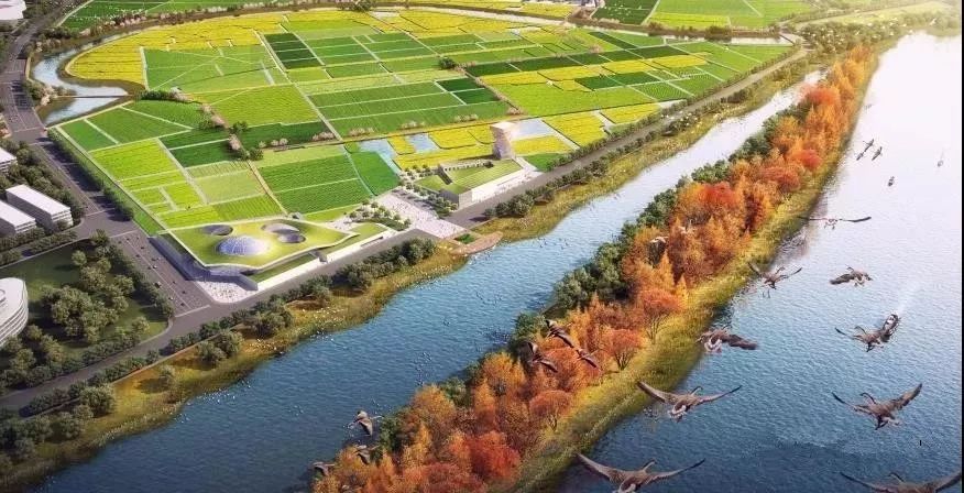 未来杭州怎么发展你知道吗余杭富阳下沙新规划都在这里