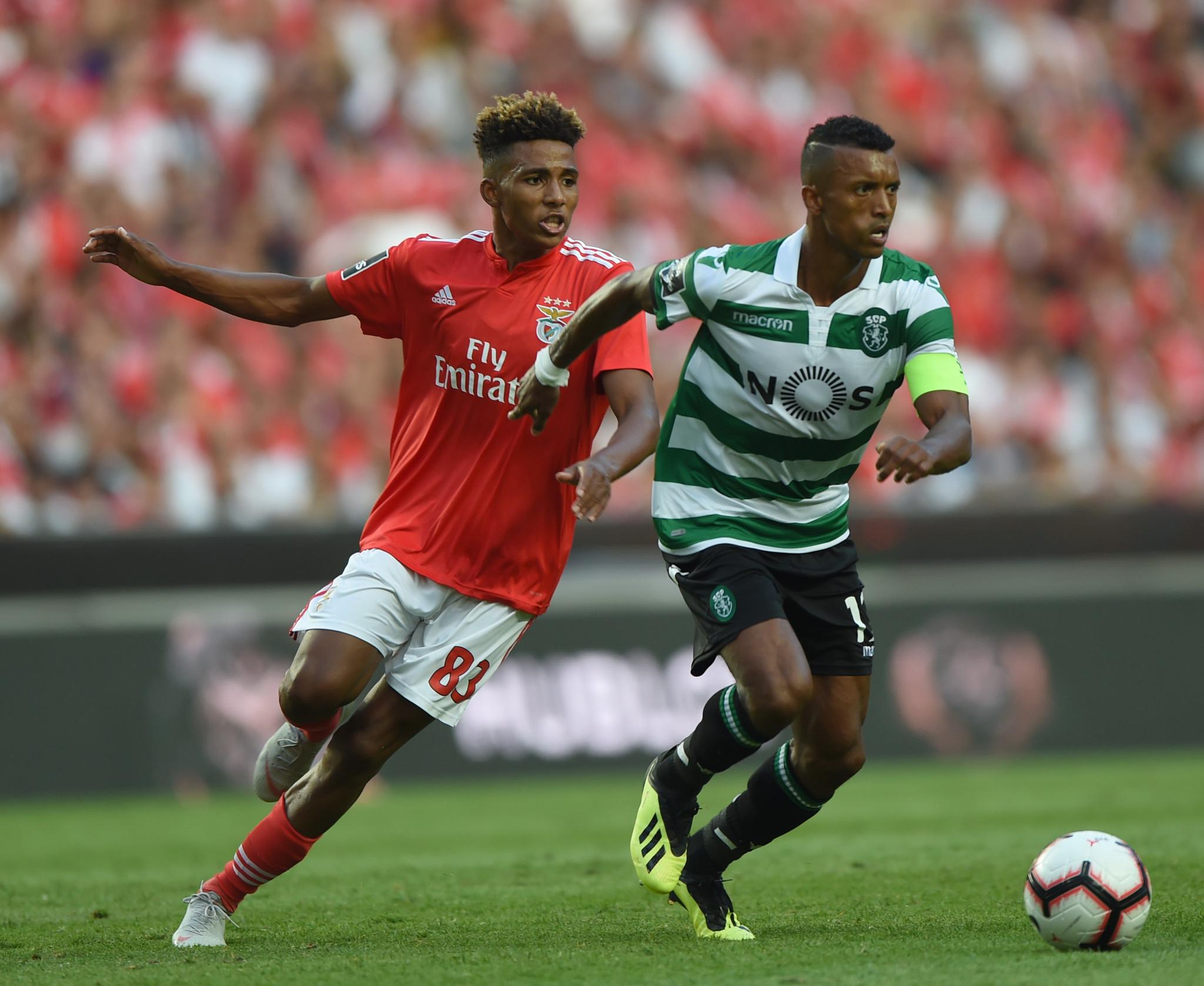 足球| 葡超:本菲卡平葡萄牙体育