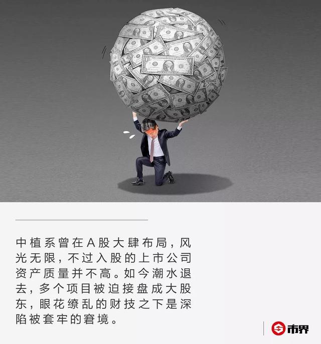 中植系拉响警报,解植锟重出江湖,曾不让妻子毛阿敏公开谈论身份