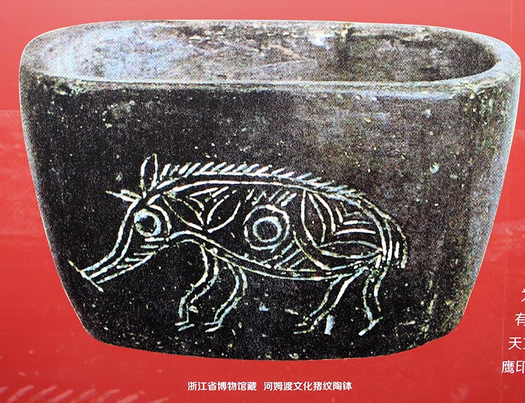 博物馆里的生肖猪