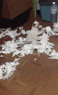 200_327gif 动态图 动图