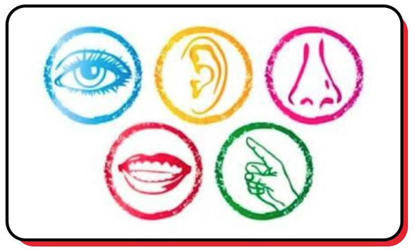 2026年2月黄金市场：超级大扫荡阶段今日黄金行情走势分析以及操作建议