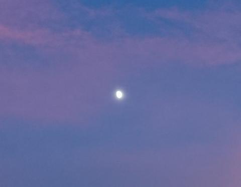 有网友拍到了紫色天空中的残月（Twiiter）