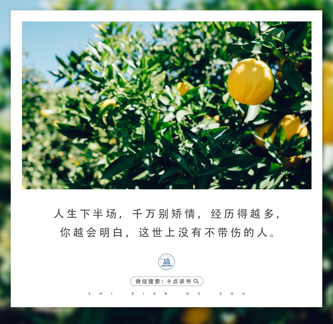 王维:人生下半场,千万别矫情