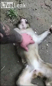 拆快递竟拆出一个妹子动图有没有大佬知道快递单号