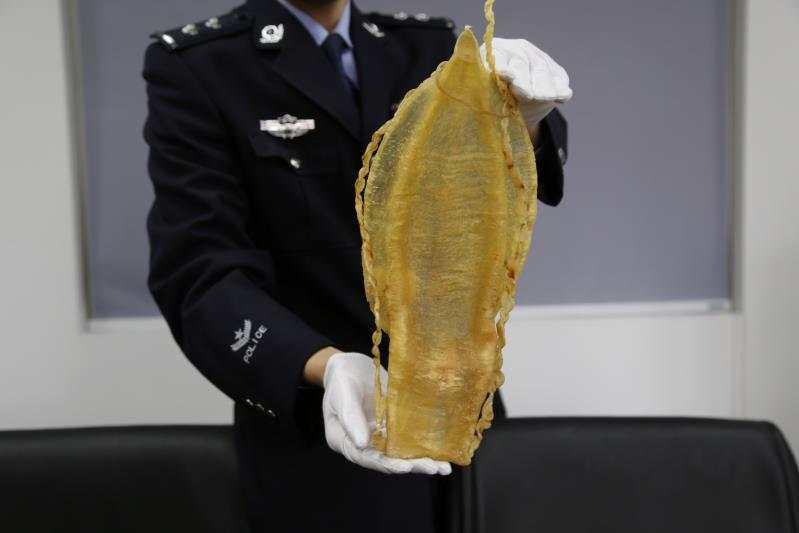 上海海关截获价值上千万元走私加湾石首鱼鱼鳔