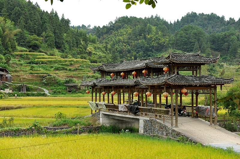 正文  地笋苗寨:是知名的怀化古村,位于靖州县三锹乡境内.