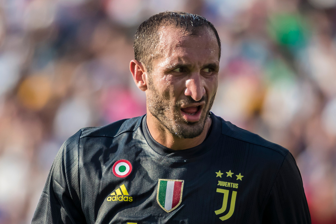 基耶利尼:每天都满怀激情工作 从不认为自己不可或缺|基耶利尼|意大利