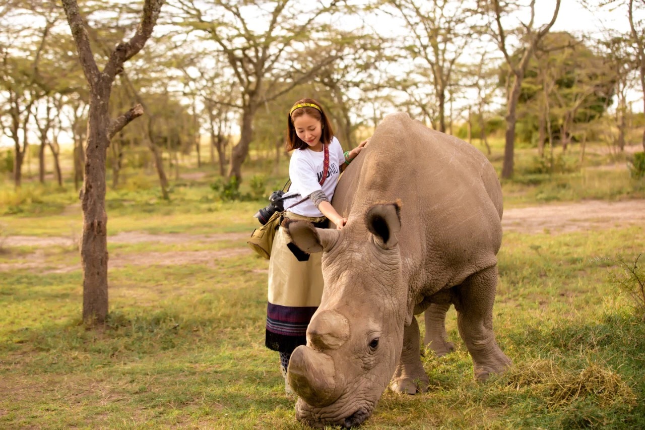 迪士尼办免费摄影展,江一燕带你探寻野生动物
