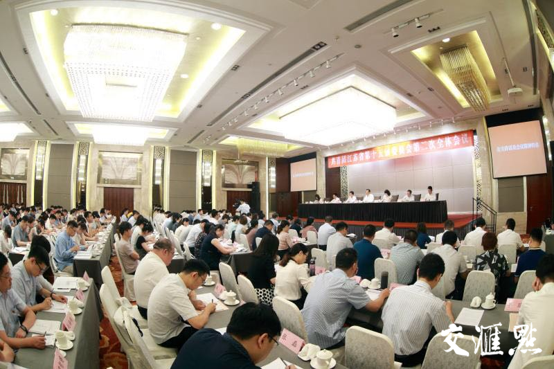团省委十五届二次全会在宁举行,十大工作项目