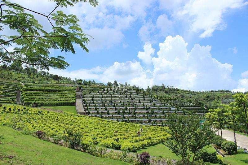 父母在墓园中逛了一圈,总觉得这地方有什么不妥,但又说不出个所以然.