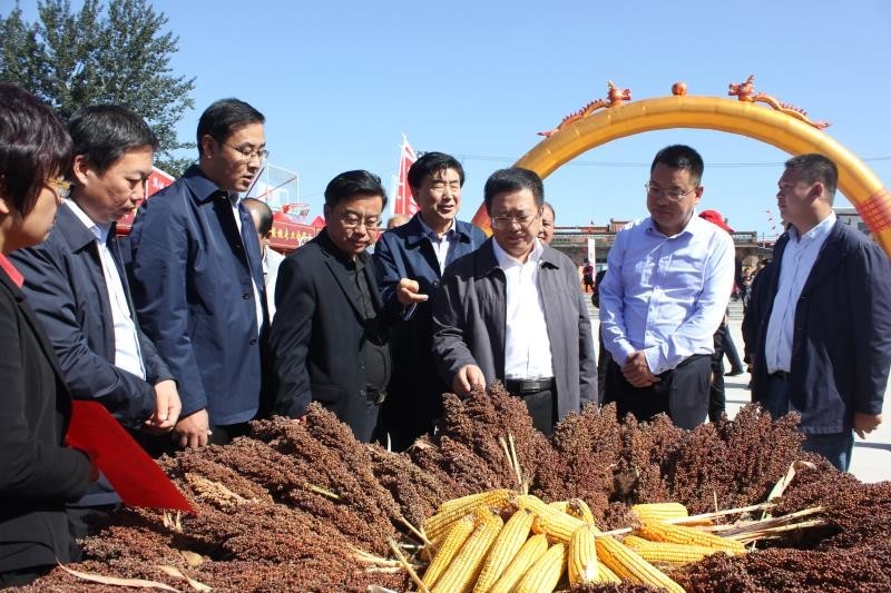 翼城县中卫乡喜庆首届中国农民丰收节