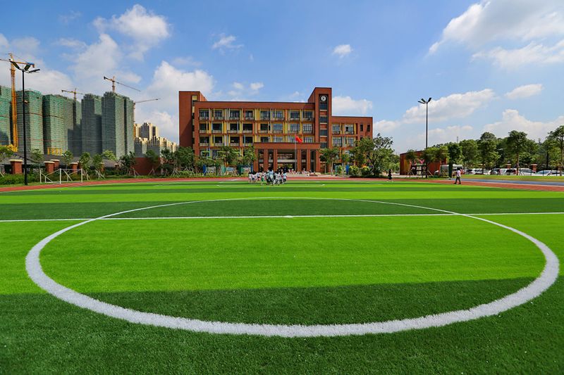 绿欣小学运动场每个人都有一份关于校园的独家记忆在你心中里水校园