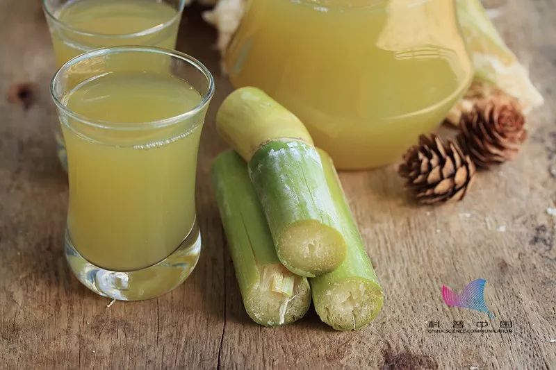 但是用"霉变甘蔗"榨出的甘蔗汁毒素含量会更高,中毒危险系数也就会更