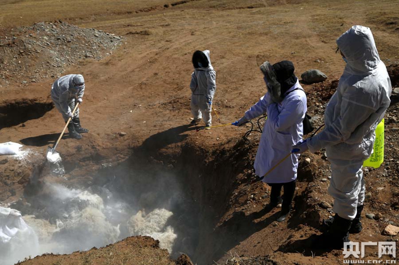 据玉树州抗灾救灾工作应急指挥部提供的数据,截至3月8日,玉树州因灾