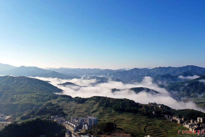 镜头 小雪乍来到光影赏时节 手机新浪网