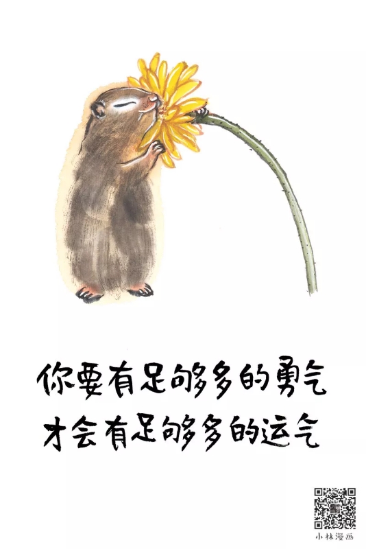 漫世界小林漫画不当家不知柴米贵不自拍不知脸又肥