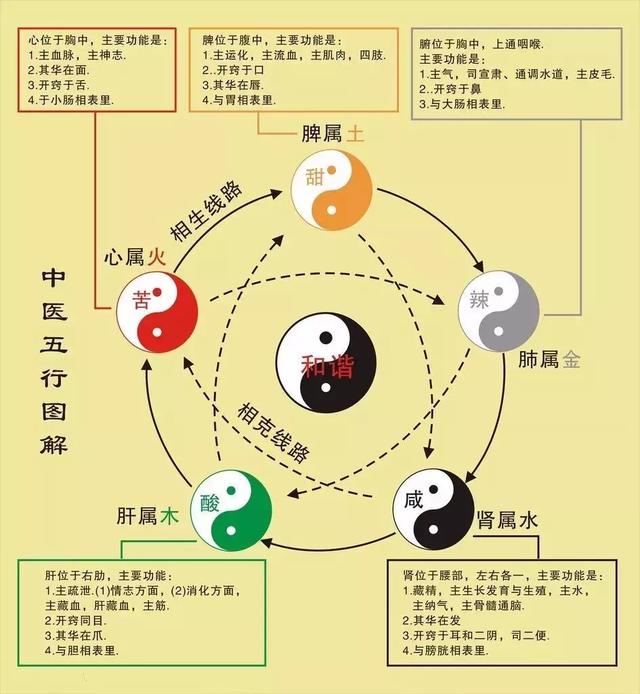 入门中医必读,一文读懂五行学说!