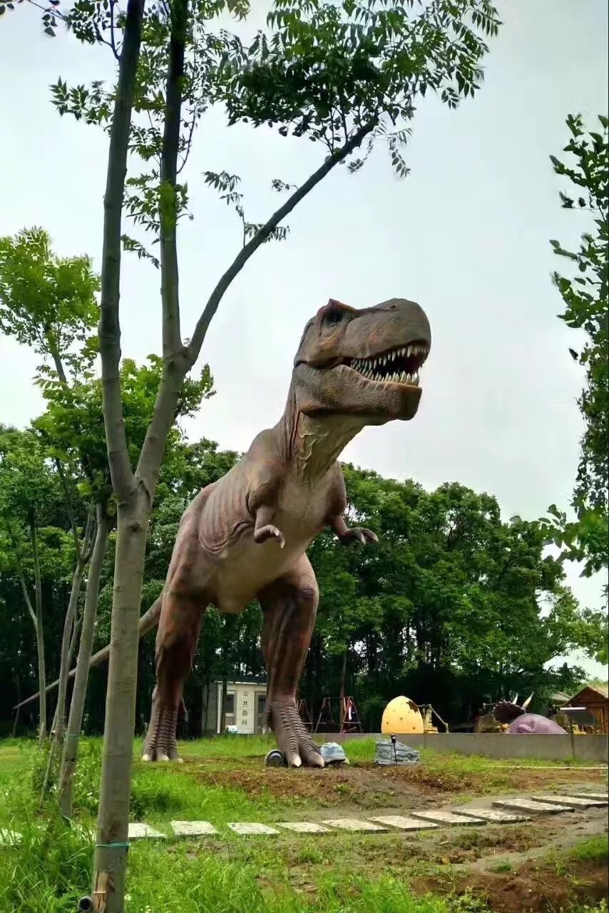 你,有一份幸运盒子等你签收|半岛|恐龙|盒子_新浪新闻