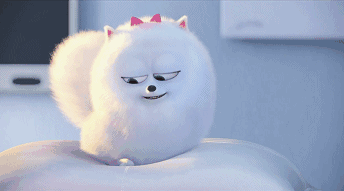 344_191gif 动态图 动图