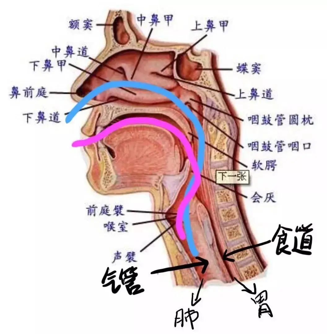 排痰是个技术活,不正确吸痰有多危险?