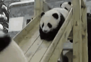 320_218gif 动态图 动图