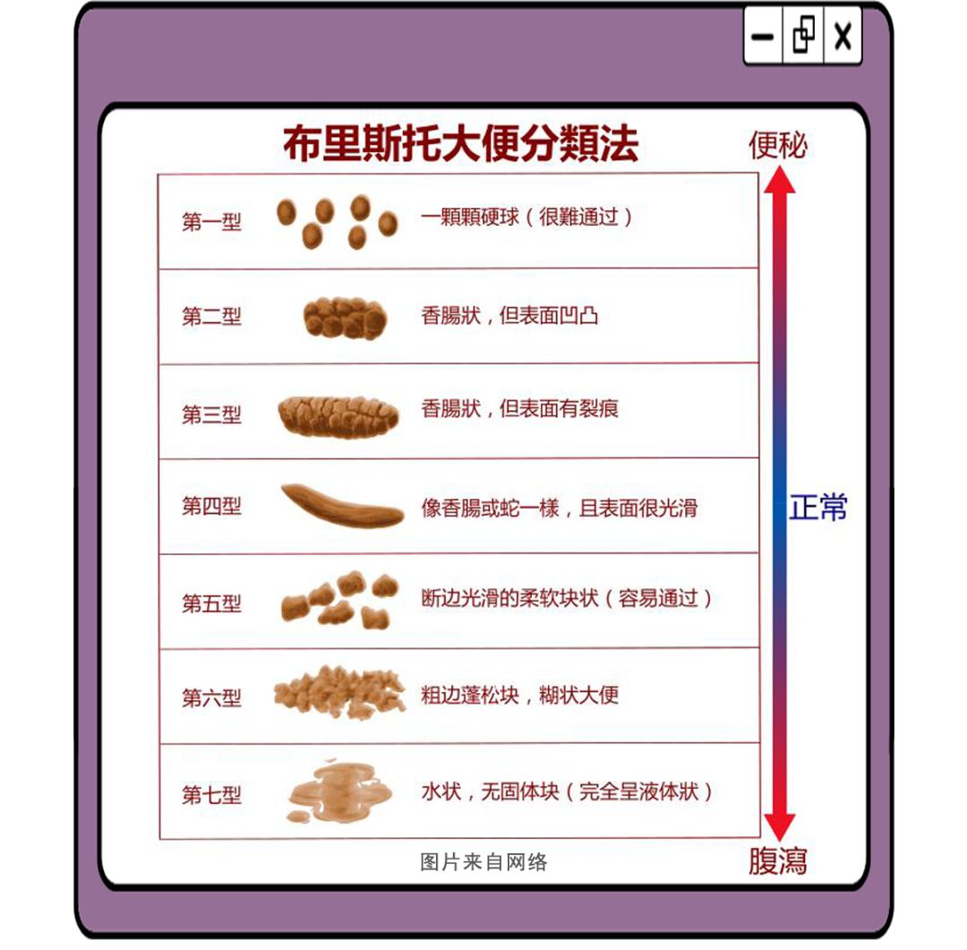 如何拉出一根50cm长的便便?