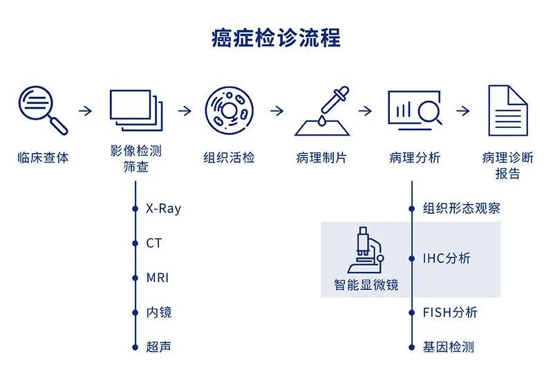 网站SEO诊断优化方案 SEO优化方案怎么做