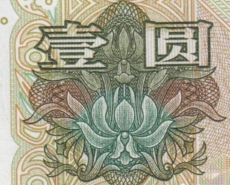 不同面值的人民币上画着不同的花卉你认识哪个