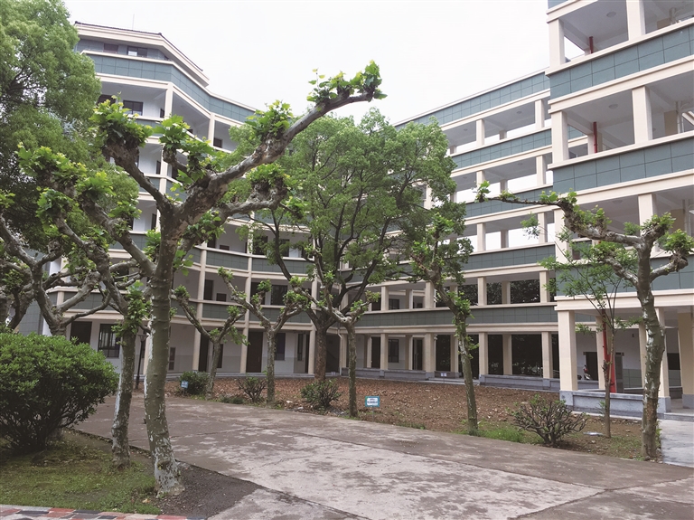 马寅初初级中学美丽校园建设记略