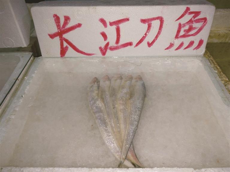 长江刀鱼今年禁捕 可市场仍在叫卖