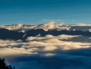 却依旧游人不断