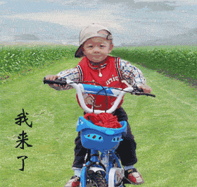 280_265gif 动态图 动图