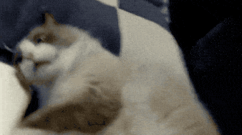  图片来源于网络