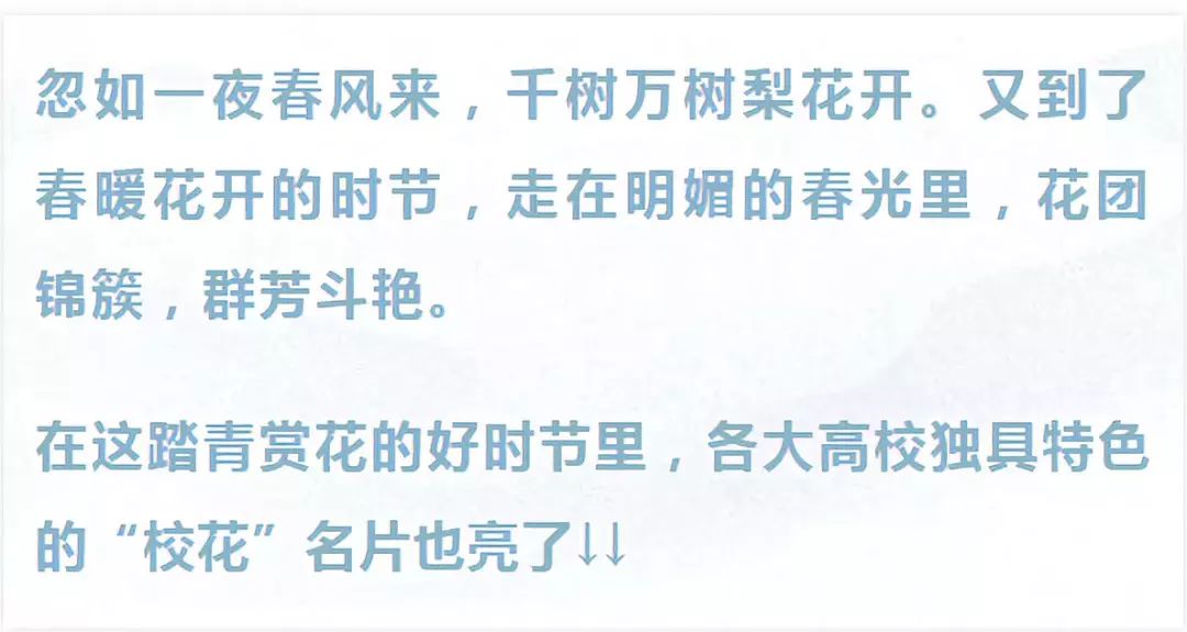 终于把各大高校校花集齐了错过还要等一年 图 校花 杏花 樱花 新浪新闻 终于把各大高校校花集齐了错过还要等一年 图 校花 杏花 樱花 新浪新闻