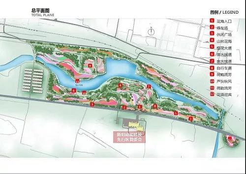 生活早报重磅济南的中央公园要来了万亩花海已开建还有新明湖