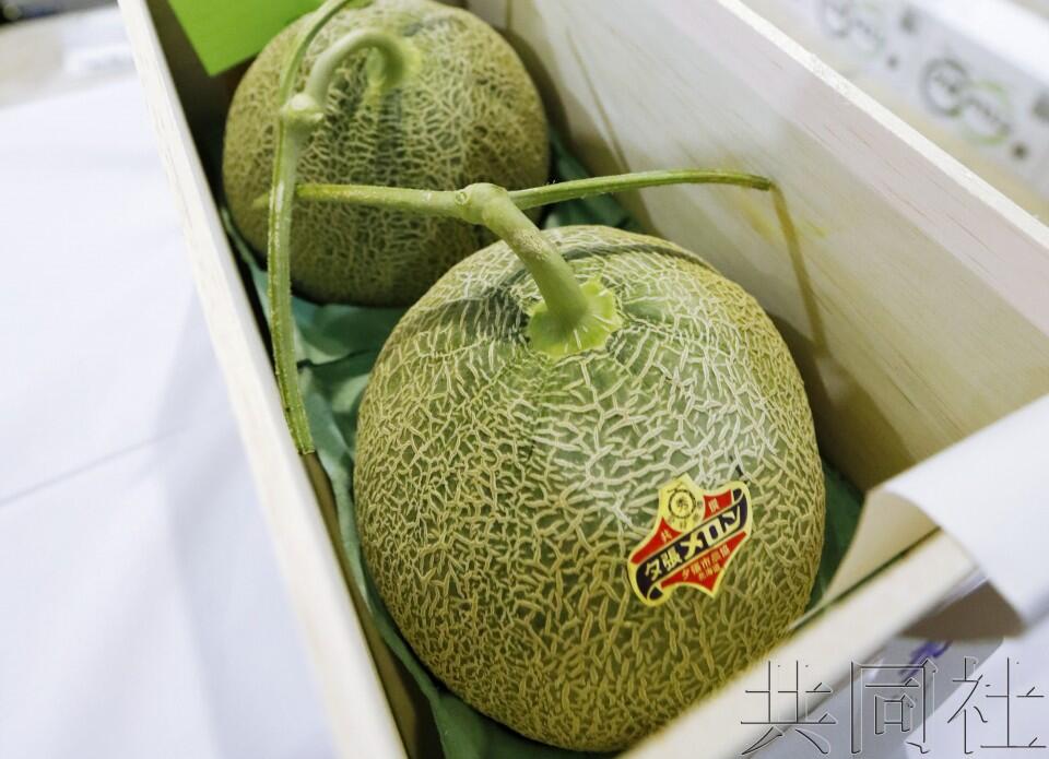 日本北海道夕张甜瓜拍出19万人民币天价创新高